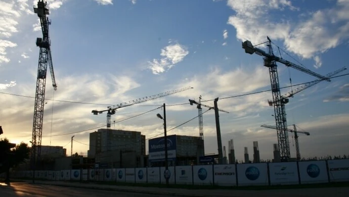 Pnie się w górę galeria