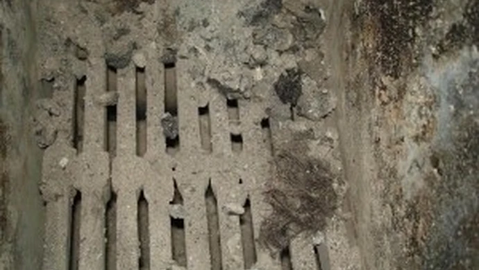 Tomaszów: Spaliła trzy szczenięta !