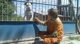 Schronisko dla zwierząt: Przenosiny za 250 tys. ?