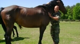 Nowe życie Strzałki