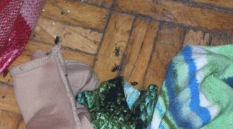 Problemy z uciążliwym lokatorem na Wysokiej