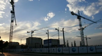 Pnie się w górę galeria