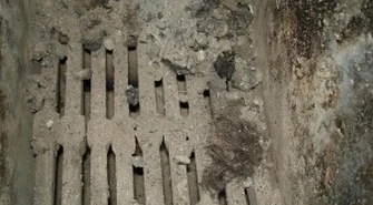 Tomaszów: Spaliła trzy szczenięta !