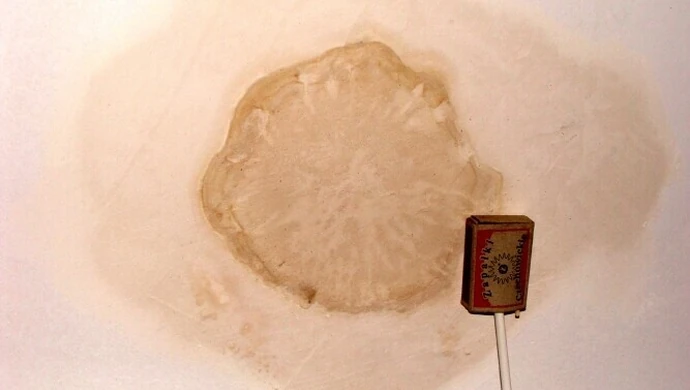 Modrzewskiego 36-36a jak Alternatywy 4?