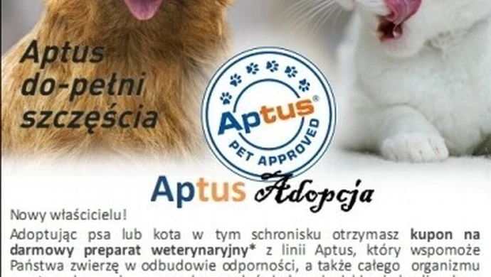 Nowa akcja Schroniska dla Bezdomnych Zwierząt