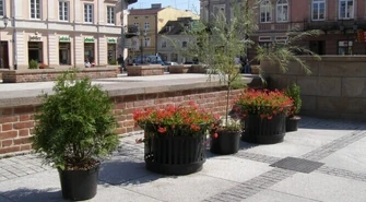 Rynek Trybunalski coraz bardziej zielony