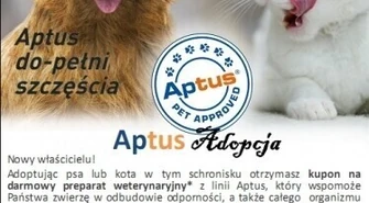 Nowa akcja Schroniska dla Bezdomnych Zwierząt