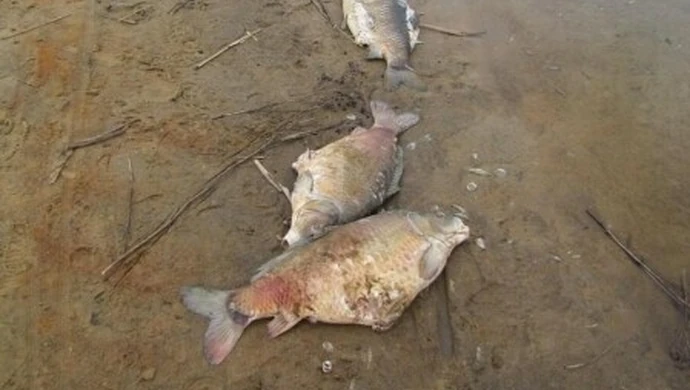 Uroki pierwszego dnia wiosny nad „Słoneczkiem”