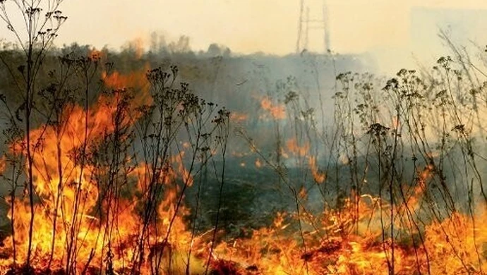 Region: Suche trawy znów płoną