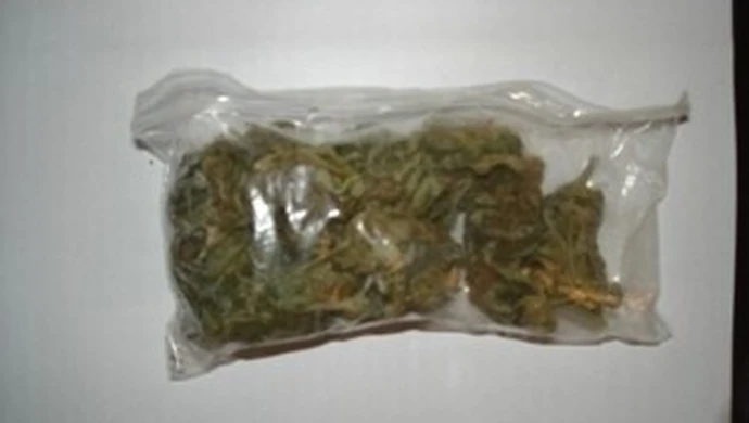 Piotrków: Dilerzy narkotyków w rękach policji