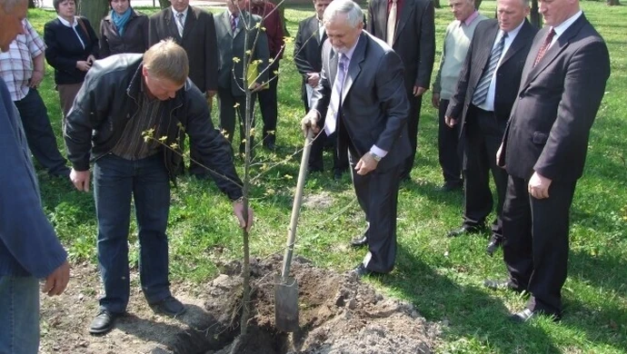Region: Zasadzili dąb ku czci ofiar katastrofy