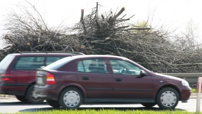 Sterty gałęzi przy drodze - czyja to robota?