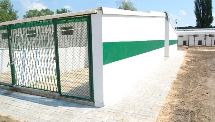 Schronisko: W oczekiwaniu na przeprowadzkę 