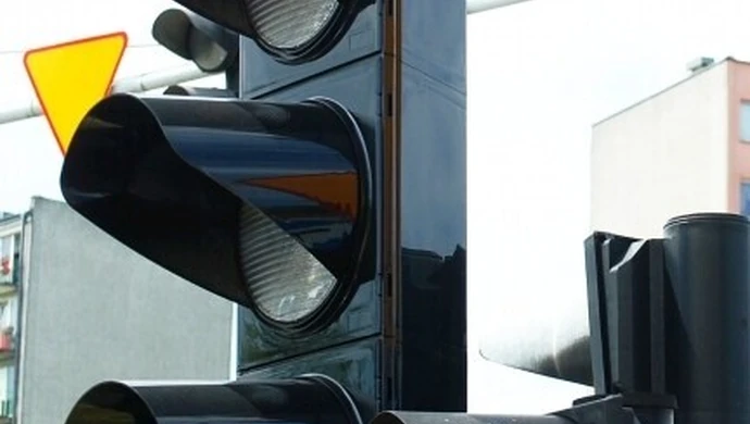 Wieczne czerwone przy bibliotece miejskiej