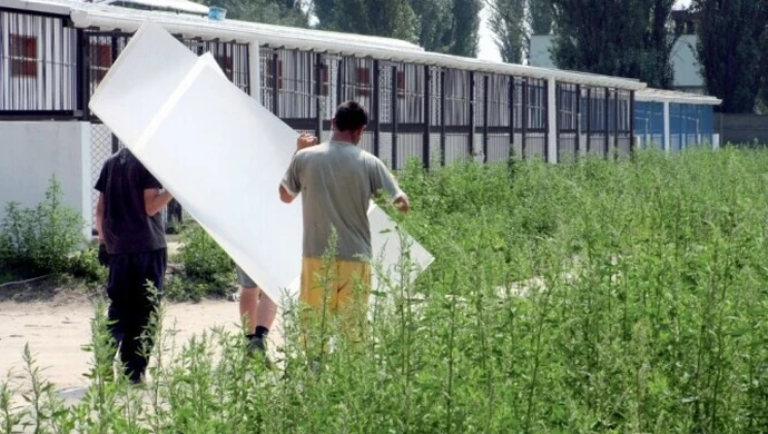 Piotrkowskie schronisko: Przeprowadzka w sierpniu