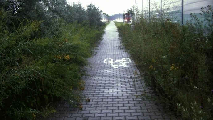 Zaniedbane piotrkowskie ścieżki rowerowe