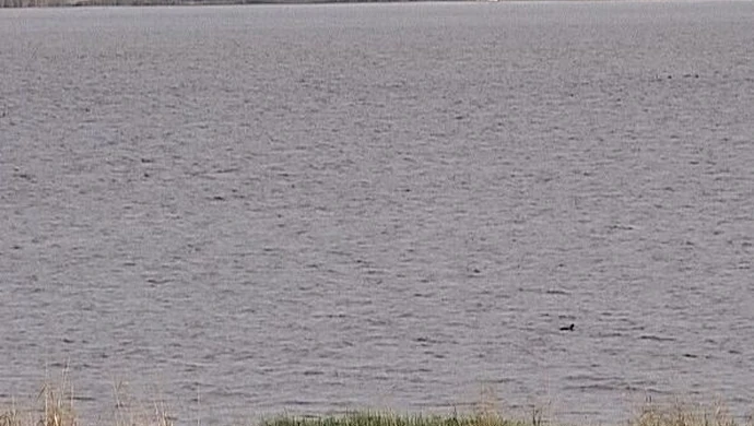 Gmina Czarnocin. Kolejne utonięcie