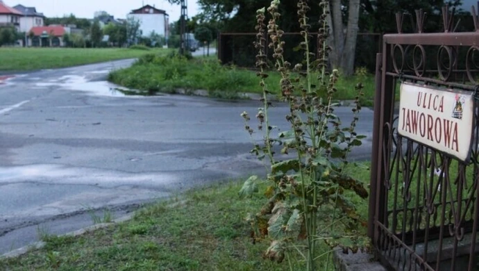 Piotrków: Azbestowe rury nam nie grożą