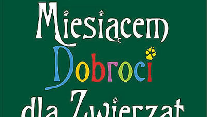 Miesiąc dobroci dla zwierząt w Bibliotece Pedagogicznej