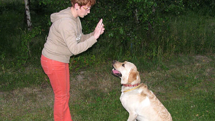 Spotkanie z łódzkimi zoopsycholożkami