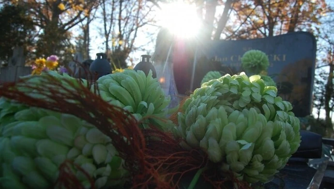 W tym roku wcześniej odwiedzaliśmy groby 