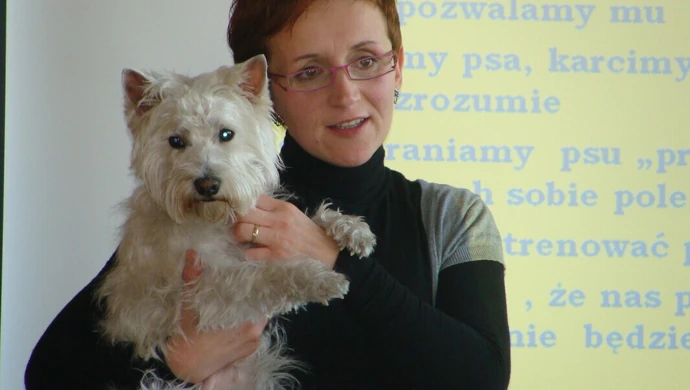 Jak prowadzić mediacje z psem?