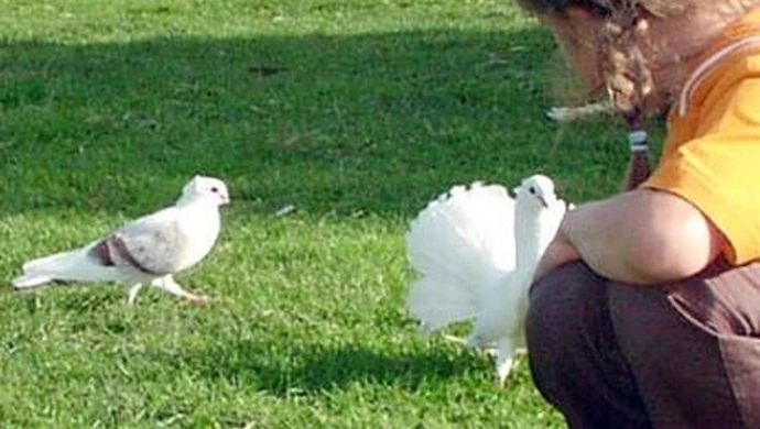 Basia jeszcze niespłacona