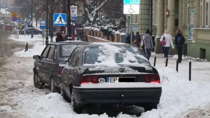 Czego spodziewać się po służbach miejskich?