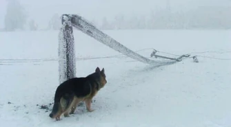 Ruszyli na pomoc w walce z lodem