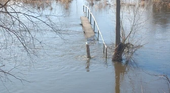 Nadal trwa stan alarmowy na Pilicy i Luciąży