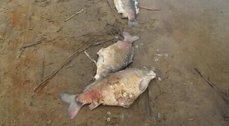 Uroki pierwszego dnia wiosny nad &#8222;Słoneczkiem&#8221;