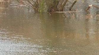 44-latka porwał nurt rzeki &#8211; trwają poszukiwania