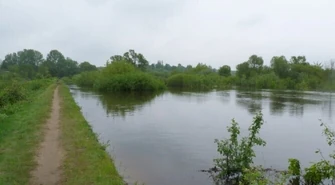 Sulejów: Stan Pilicy zamiast opadać - podnosi się