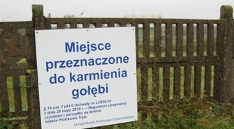 Gdzie w Piotrkowie można dokarmiać gołębie?