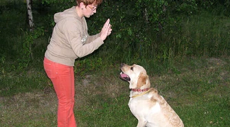 Spotkanie z łódzkimi zoopsycholożkami