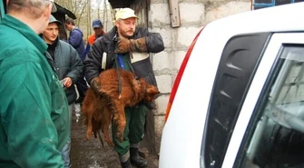 Trwa przeprowadzka do nowego schroniska