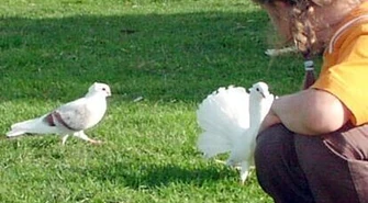 Basia jeszcze niespłacona