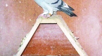 Najlepsze lotniki pojadą na wystawę