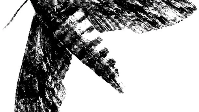 ODA: W stylu Hitchcock'a i Lynch'a