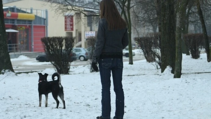 &#8220;Pieskie&#8221; kłopoty mieszkańców Piotrkowa