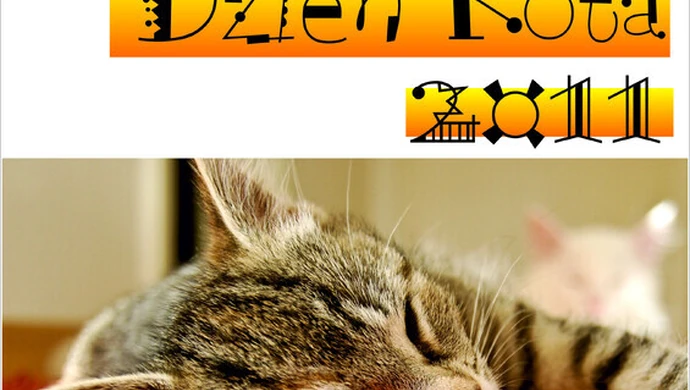 Światowy Dzień Kota w "Spirali"