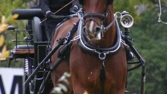 Stado Ogierów ma nowego właściciela