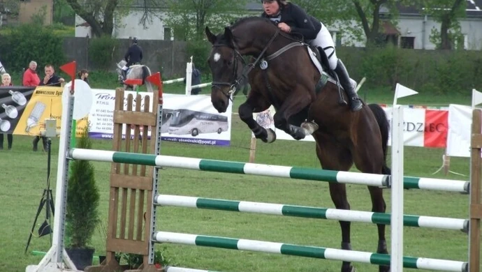 Koński weekend w Bogusławicach