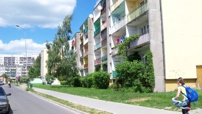 Piotrków: Osiedlowe koty zniszczyły mu samochód?