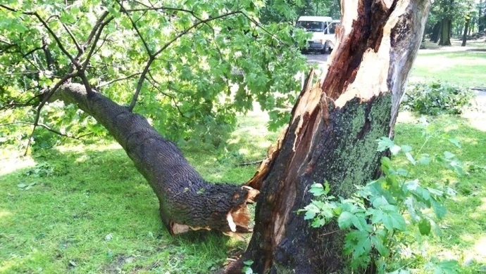 Piotrków: Duże zniszczenia po burzy