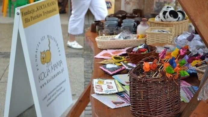 Kot, jaki jest, każdy widzi