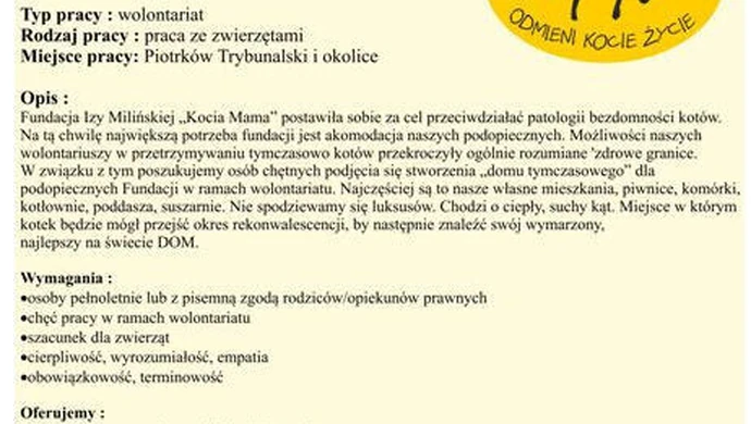 Miej kota na punkcie wolontariatu