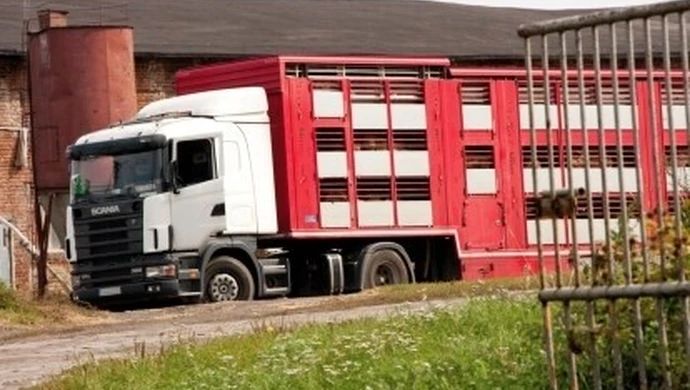 Śmierdzi i śmierdzieć będzie?