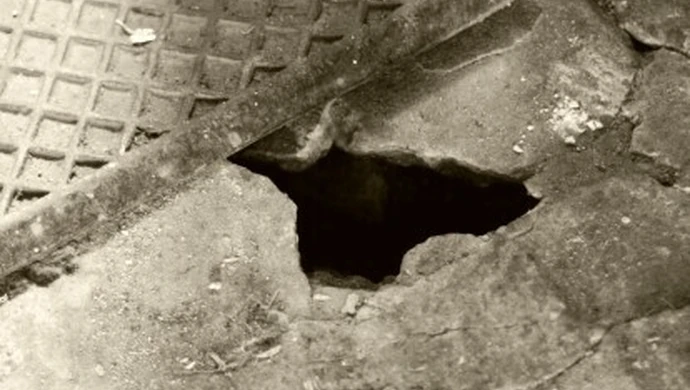 Plaga szczurów na Starym Mieście