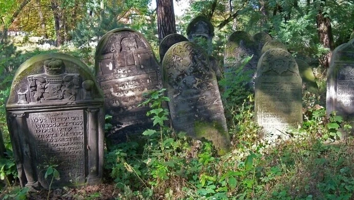 Piotrków: Robią porządki na cmentarzu żydowskim